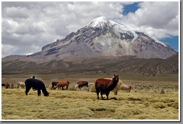 Nevado Sajama volcano (6542m), Sajama National Park, Altiplano, Bolivia