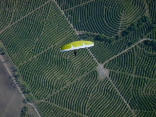 Lemon Air - Carlos Curi flying his paraglider over lemon tree plantations in Tucuman, Argentina during Argentinian National Loma Bola Paragliding Championship 