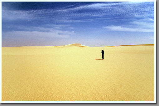 Sand sheet west of Tazerbo oasis