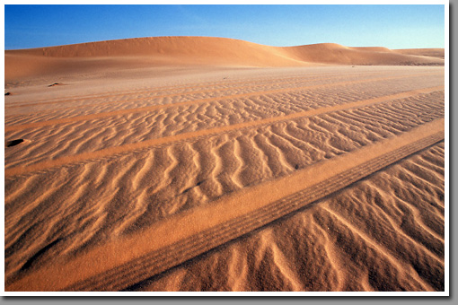 Tracks in the sand left at the dune belt separating Arkenu and Uweinat masivs