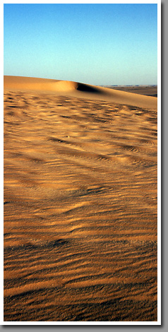 Dunes between Timsah and Tazerbo oases