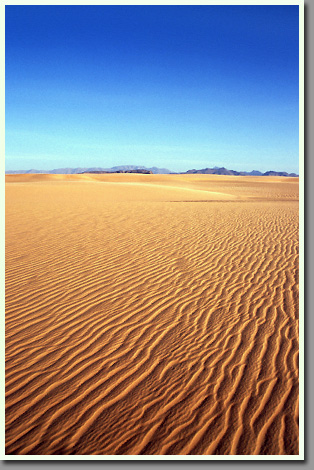 Dune belt between Arkenu and Uweinat