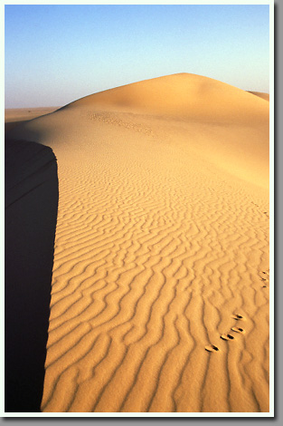Solitary dune at Bir Zighen